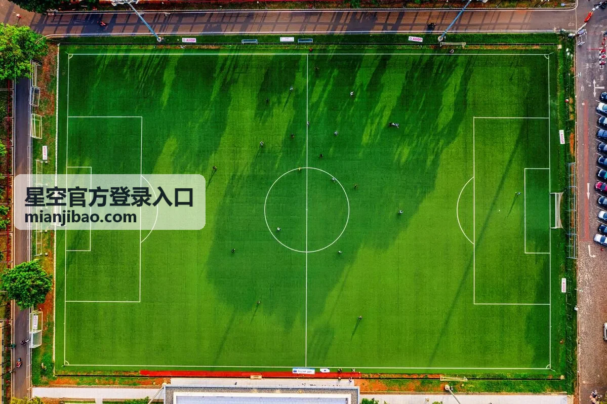 星空官方登录入口后台的权限分配与账号回收界面