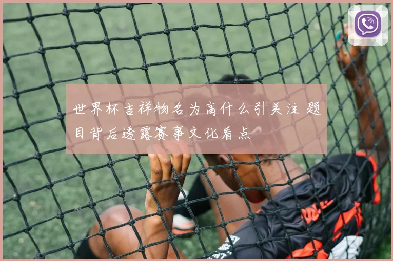 世界杯吉祥物名为高什么引关注 题目背后透露赛事文化看点