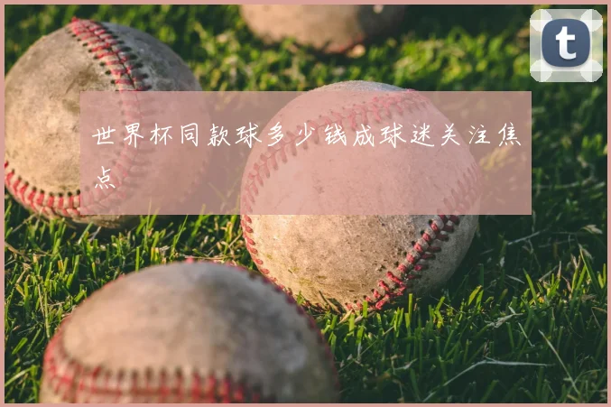 世界杯同款球多少钱成球迷关注焦点