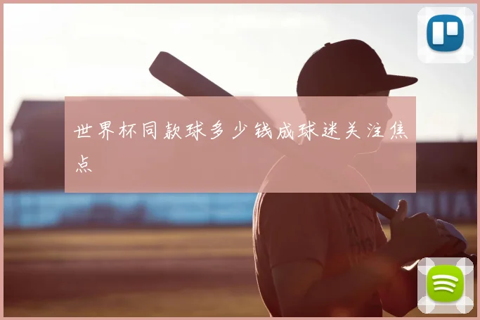 世界杯同款球多少钱成球迷关注焦点