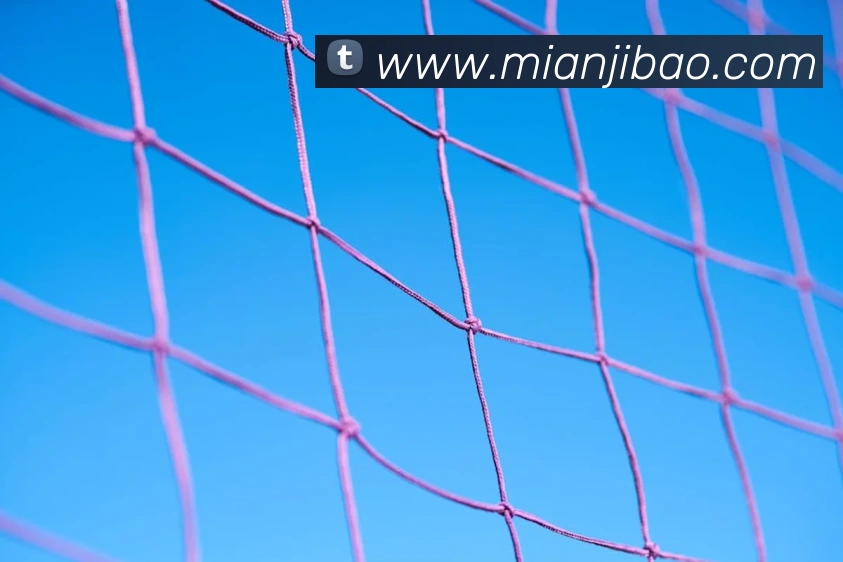 半岛网页版平台生态图