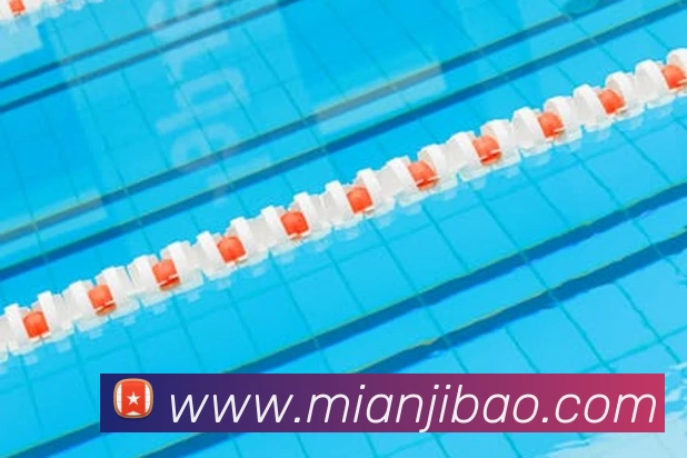 半岛网页版APP 封面图